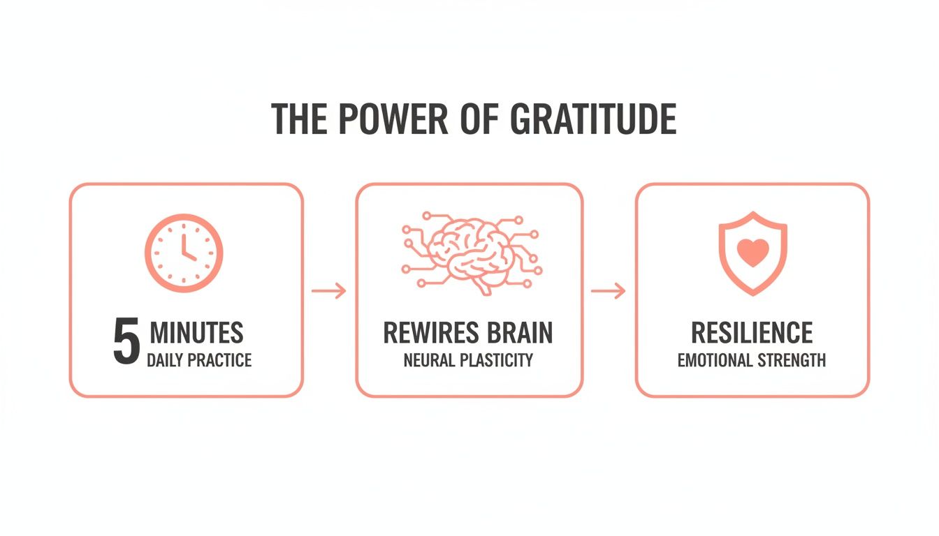 Infographic showing how 5 minutes of daily gratitude practice rewires the brain for emotional resilience.