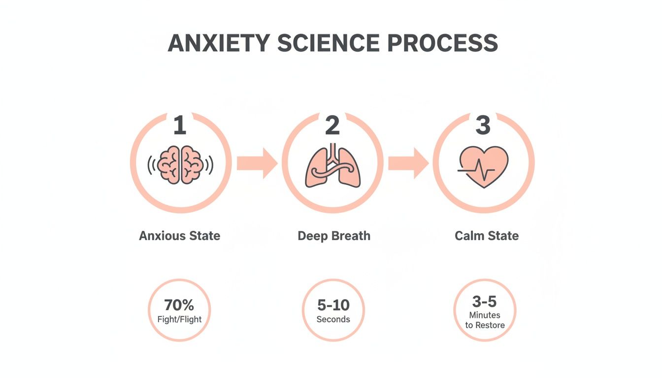 Diagram illustrating the anxiety science process, showing anxious state, deep breath, and calm state with recovery times.
