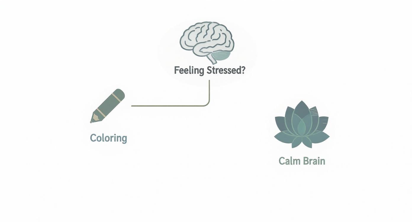 Infographic about stress relief coloring book for adults