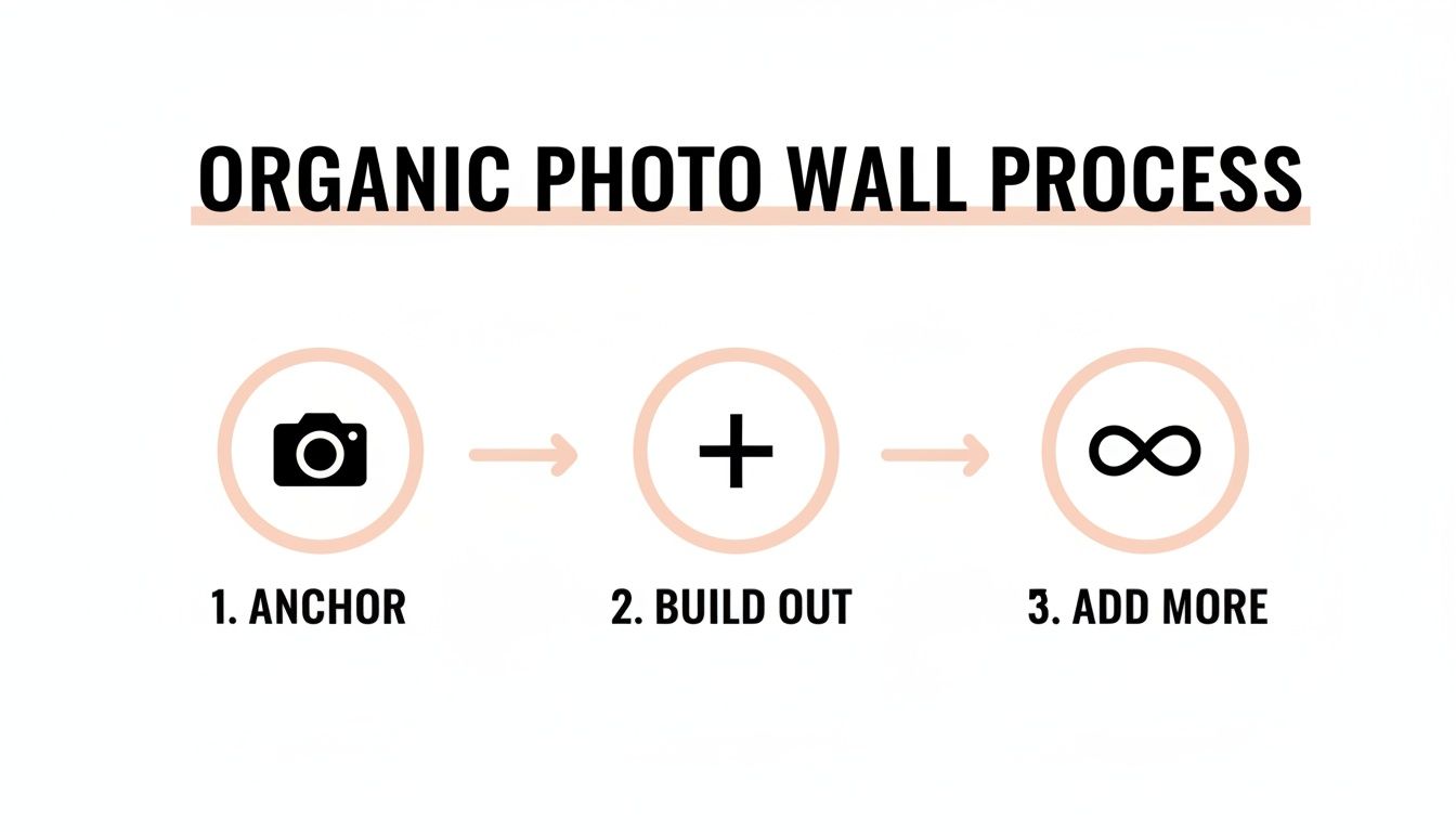 A three-step organic photo wall process with icons for anchor, build out, and add more.