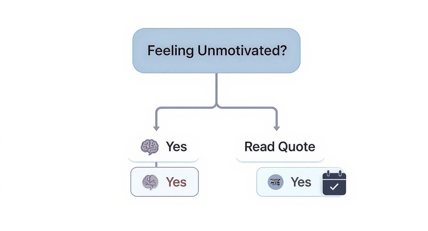 Infographic about daily inspirational quotes calendar