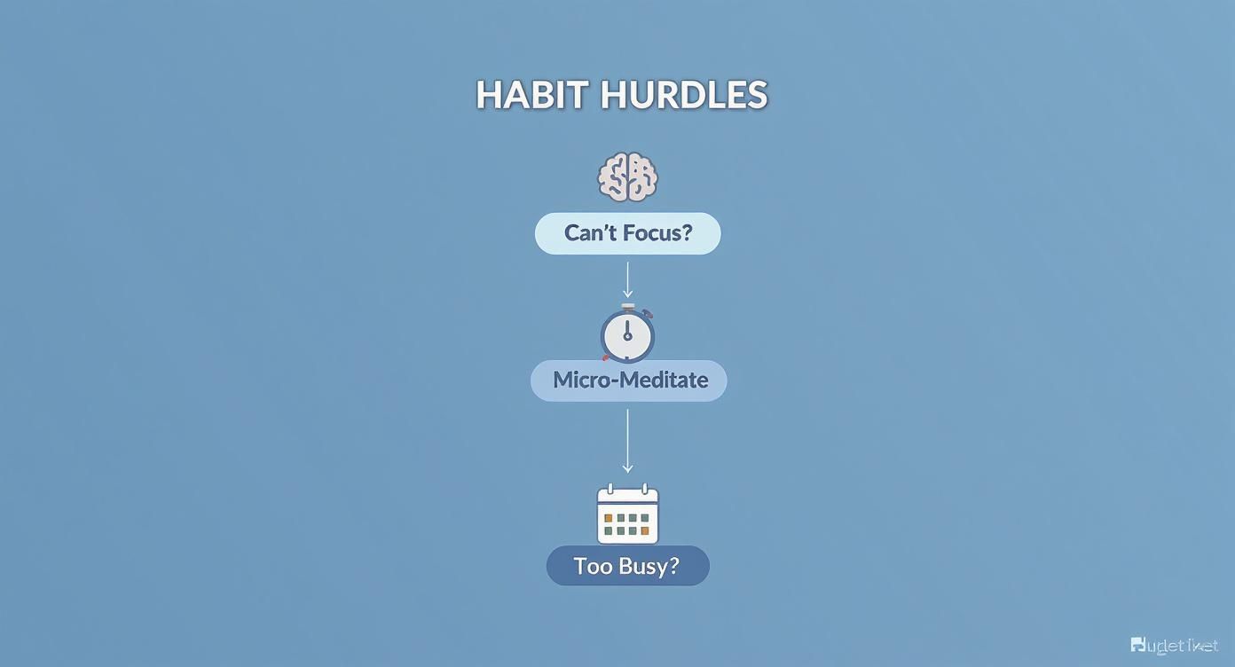 Diagram showing habit hurdles: 'Can't Focus?' suggests 'Micro-Meditate'; 'Too Busy?' is a question.