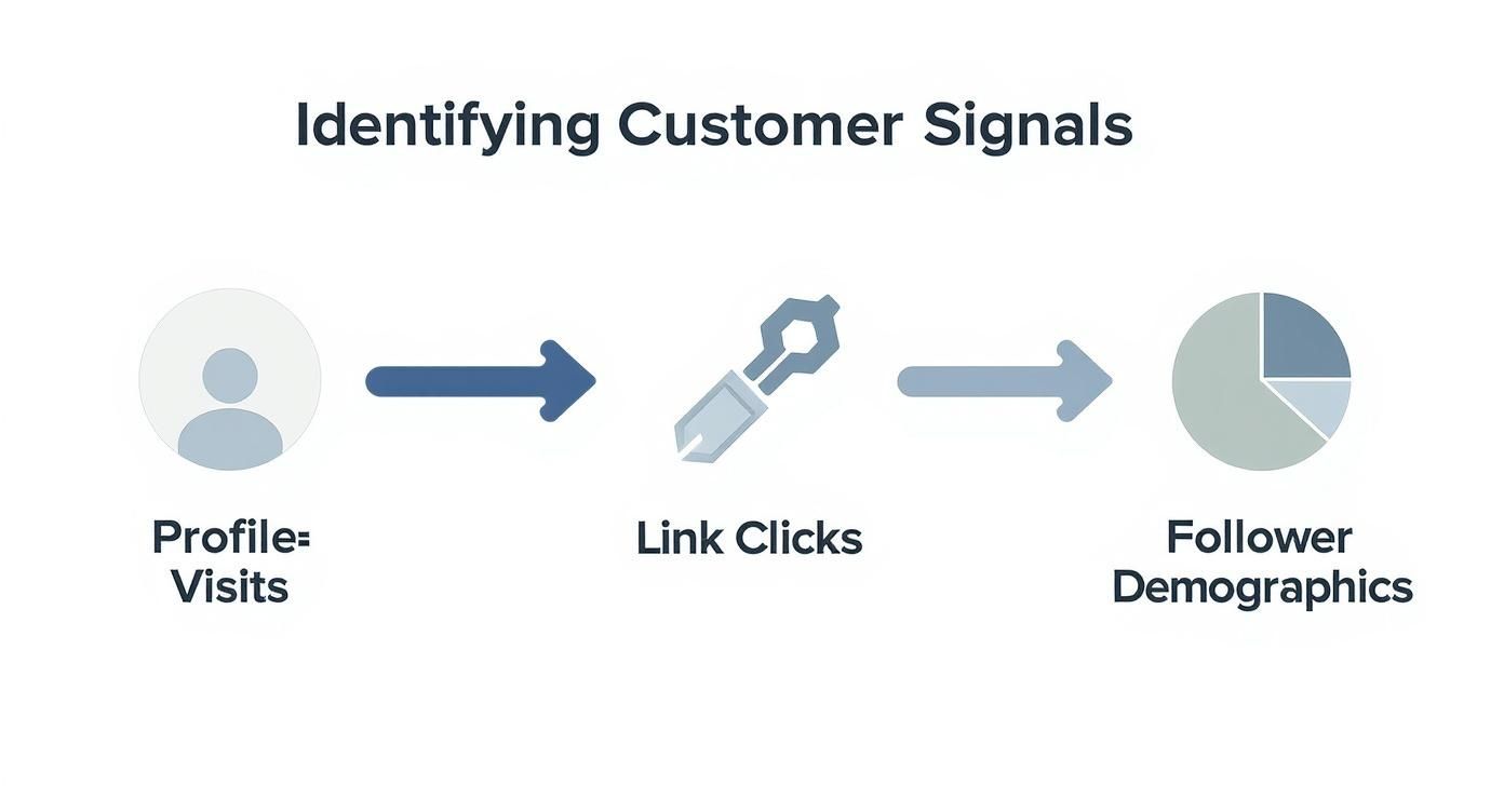 Infographic about twitter account analytics