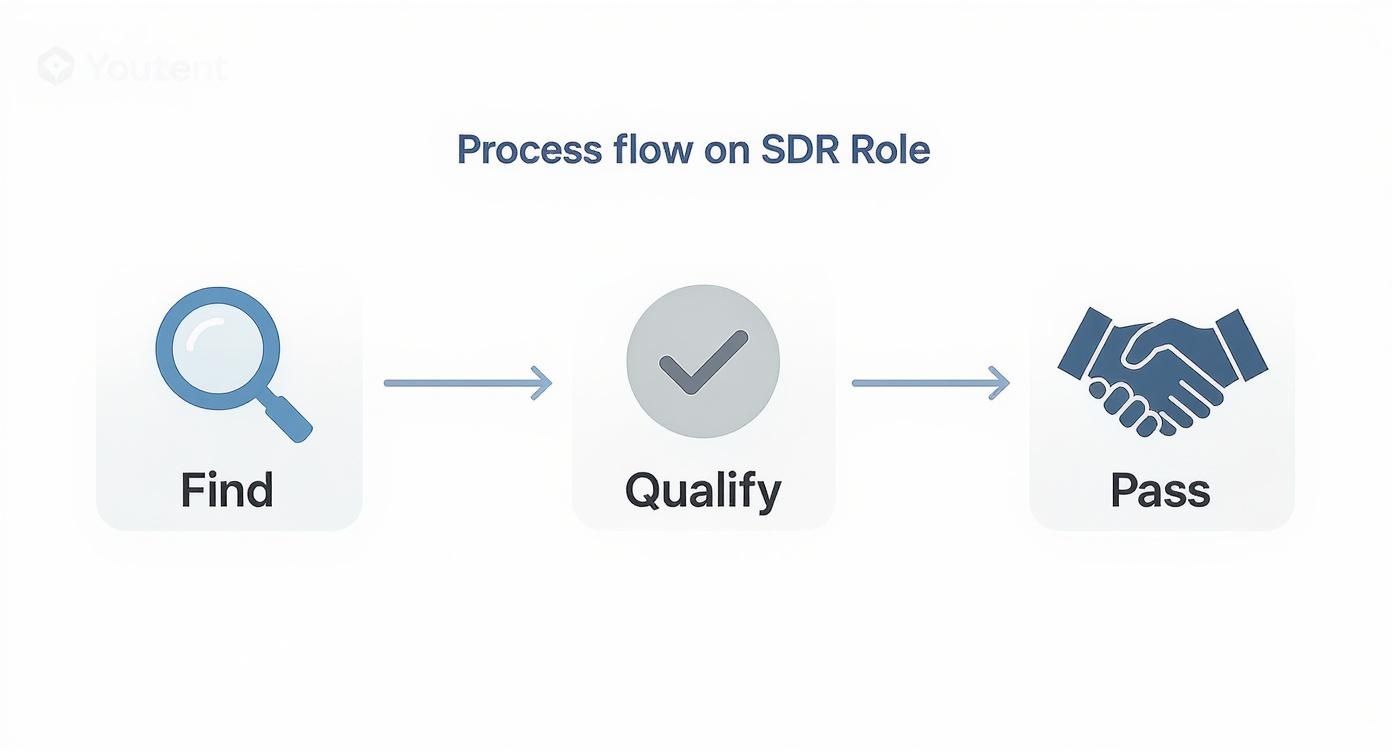 A process flow diagram showing three steps for an SDR role: Find (magnifying glass), Qualify (checkmark), and Pass (handshake).