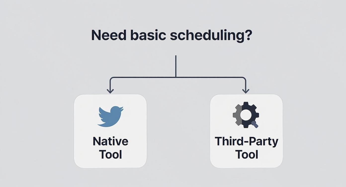 Infographic about can you schedule tweets on twitter