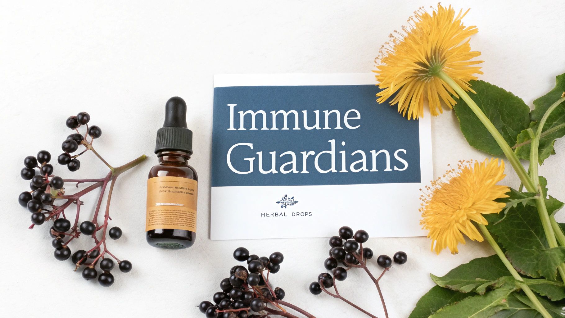 A flat lay featuring elderberries, a dropper bottle, and a card titled 'Immune Guardians Herbal Drops' with yellow flowers.