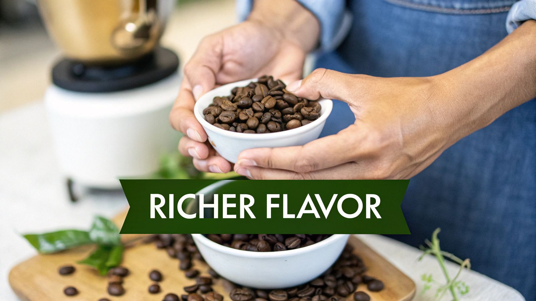 Organic coffee soil healthy vines