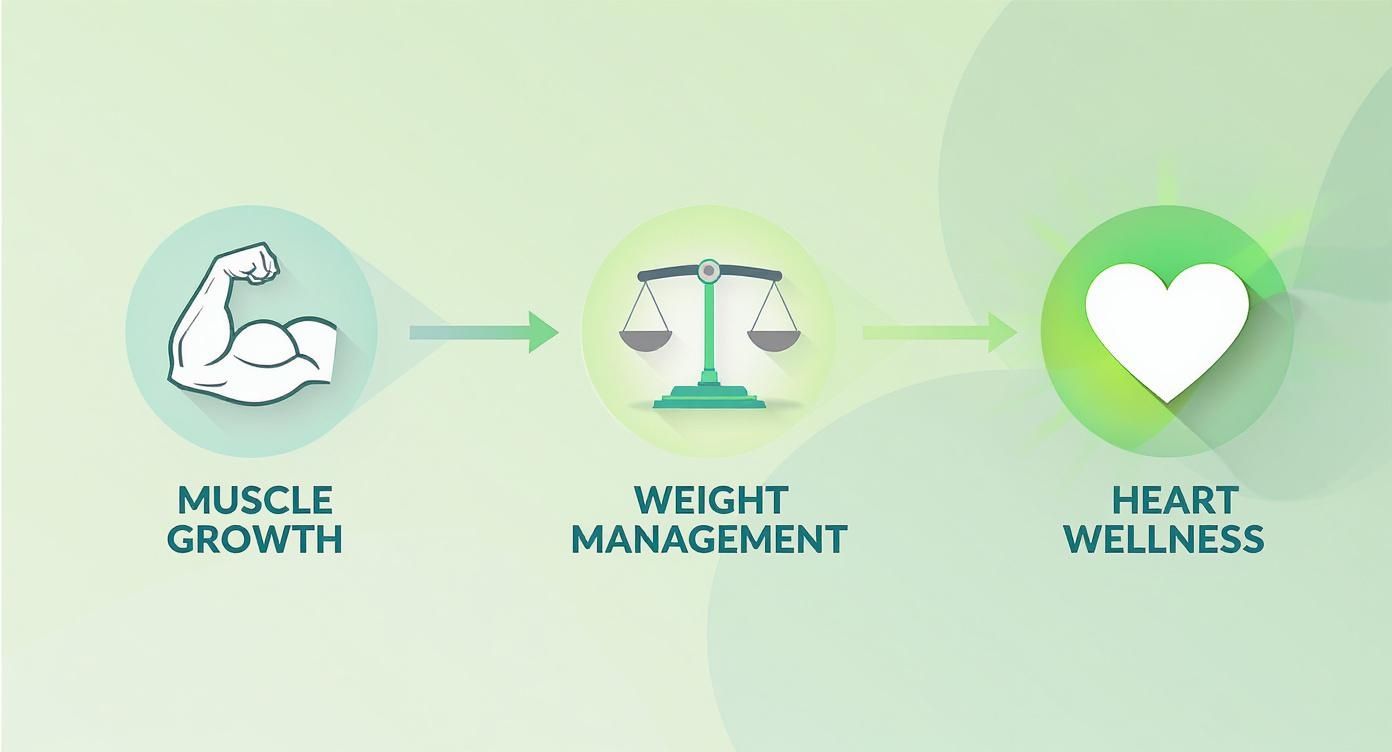 Infographic showing the progression from muscle growth to weight management and heart wellness.