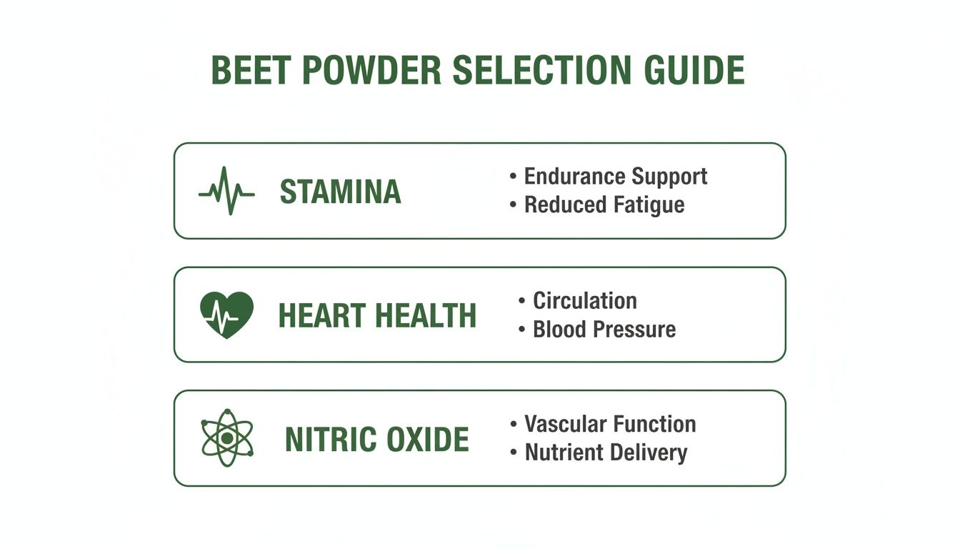 Beet Powder Selection Guide detailing benefits for stamina, heart health, and nitric oxide production.