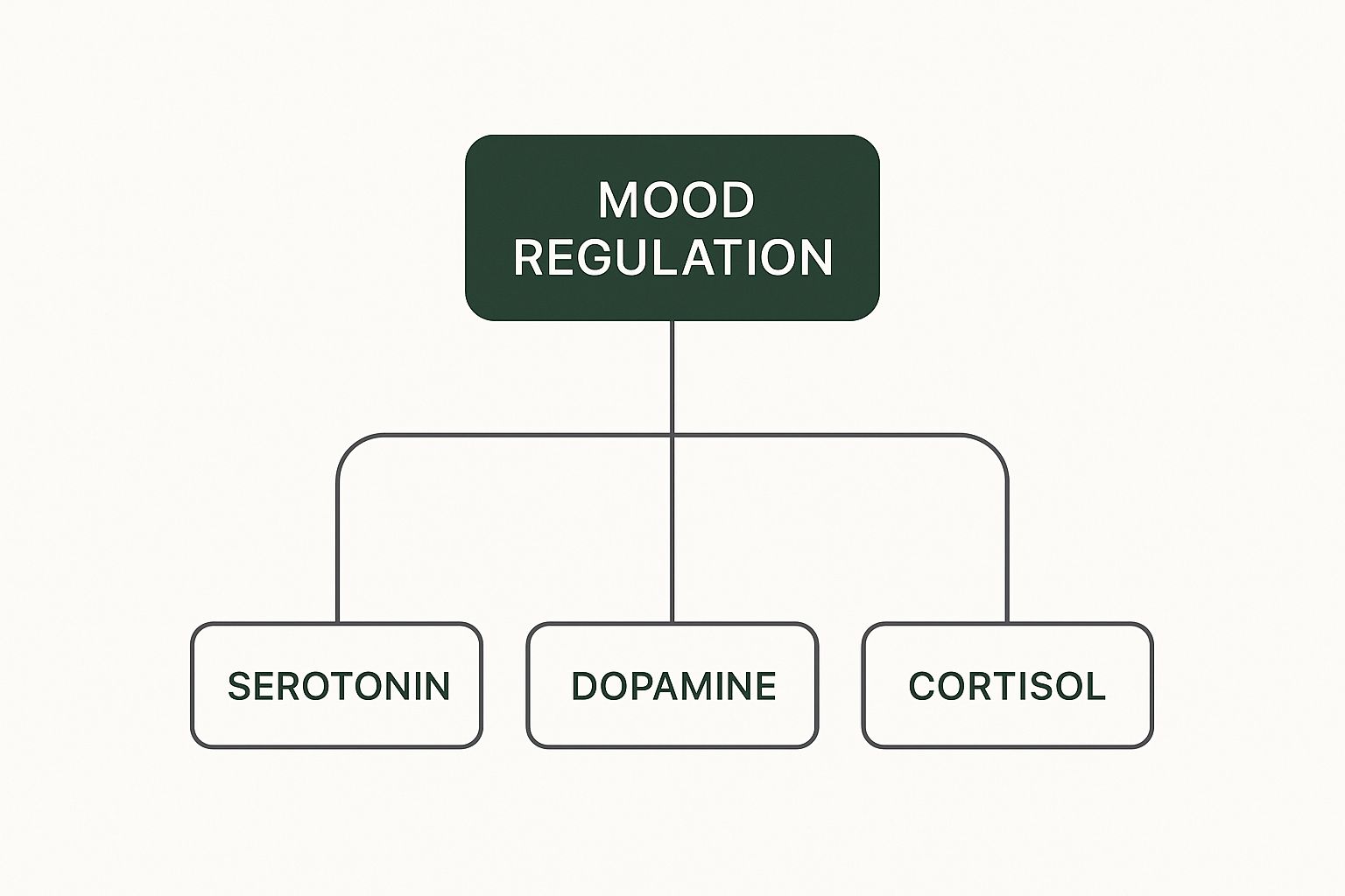 Infographic about mood support supplements