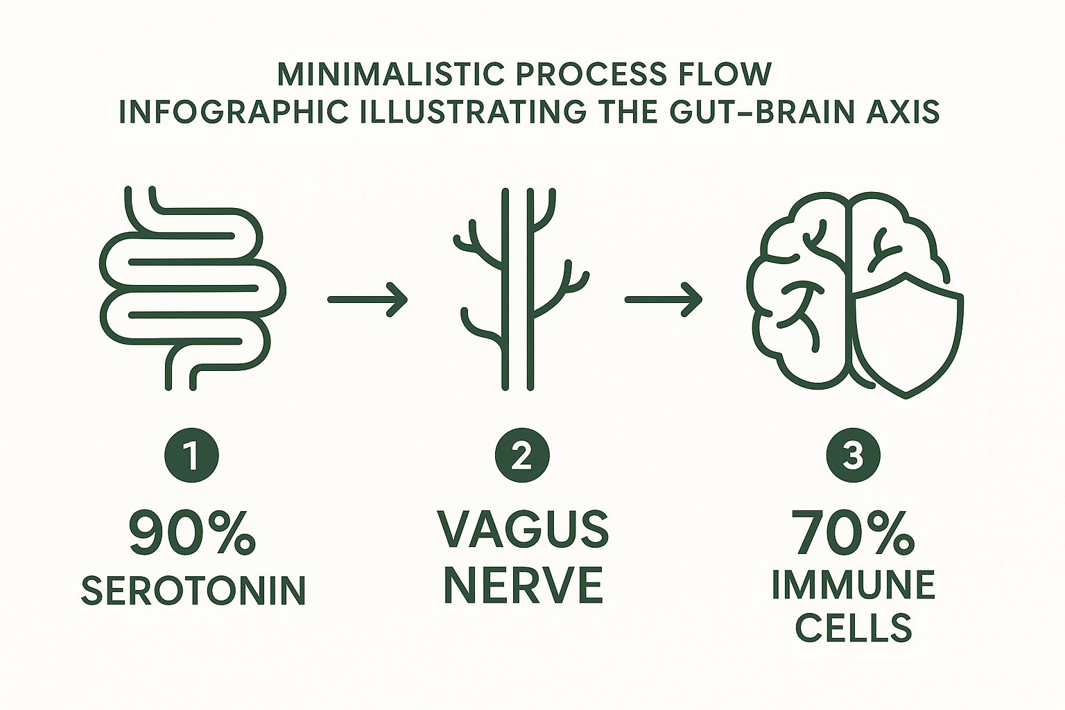 Infographic about how to improve gut health naturally