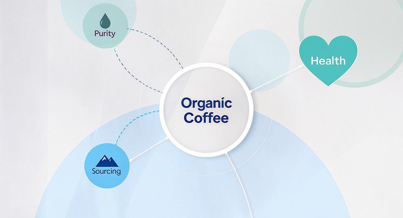A conceptual diagram highlighting 'Organic Coffee' connected to 'Purity,' 'Health,' and 'Sourcing.'