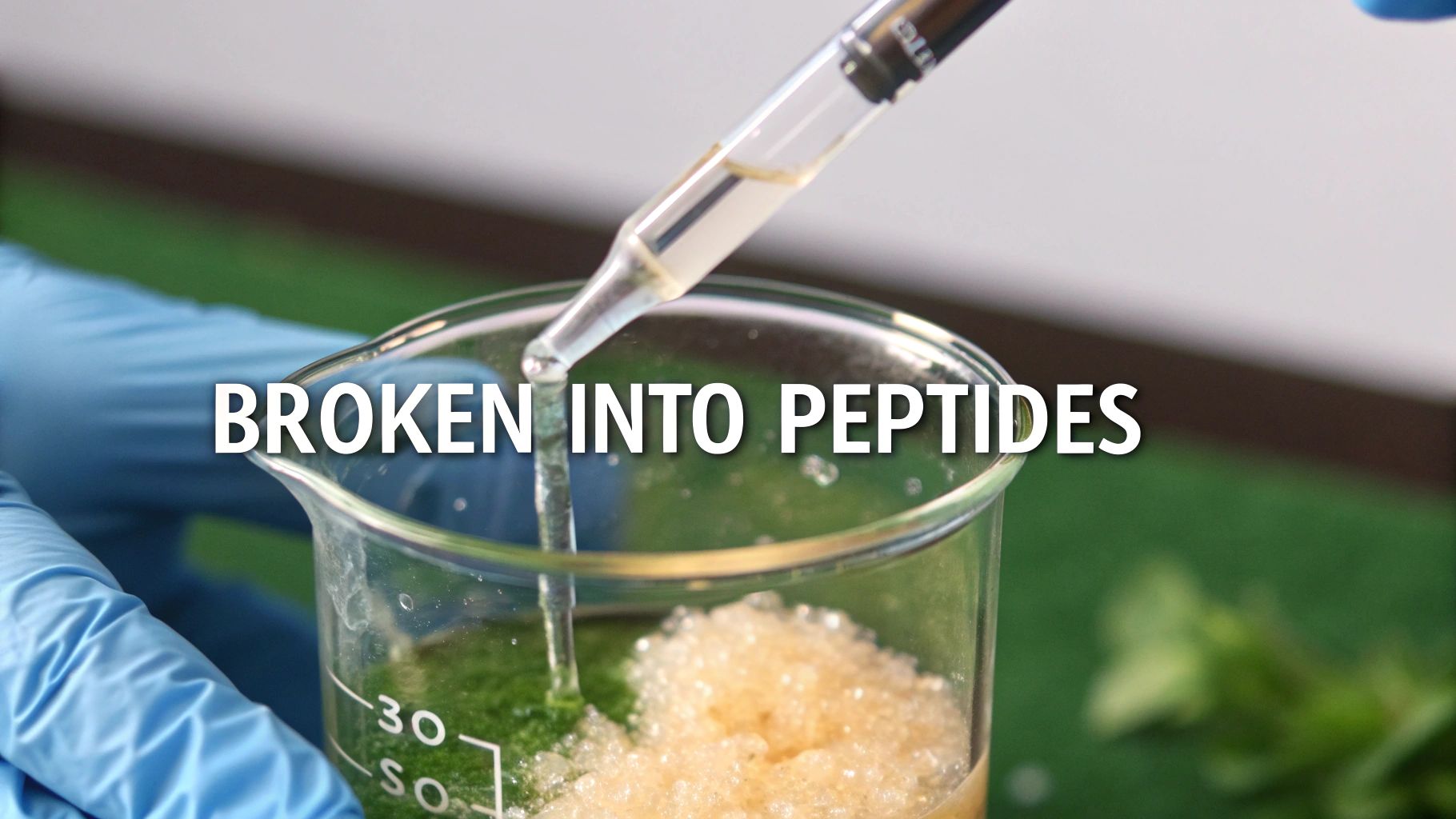 A scientific illustration showing the hydrolysis process of collagen