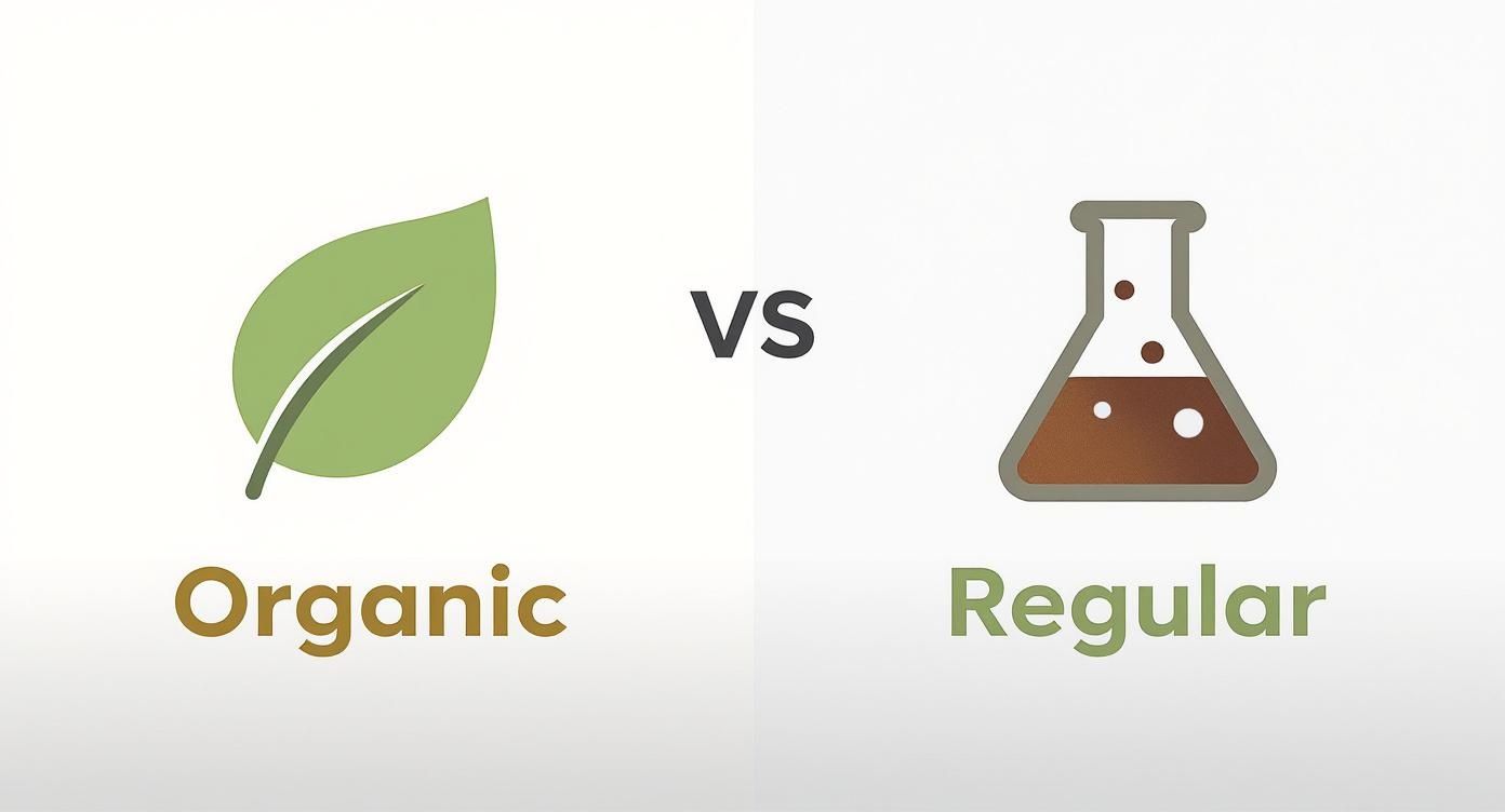 A green leaf for 'Organic' vs. a beaker for 'Regular', comparing product types.