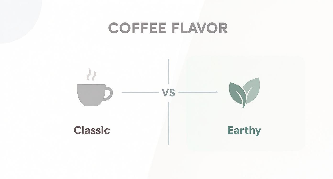 Infographic decision tree comparing classic coffee flavor to the earthy notes of mushroom coffee.