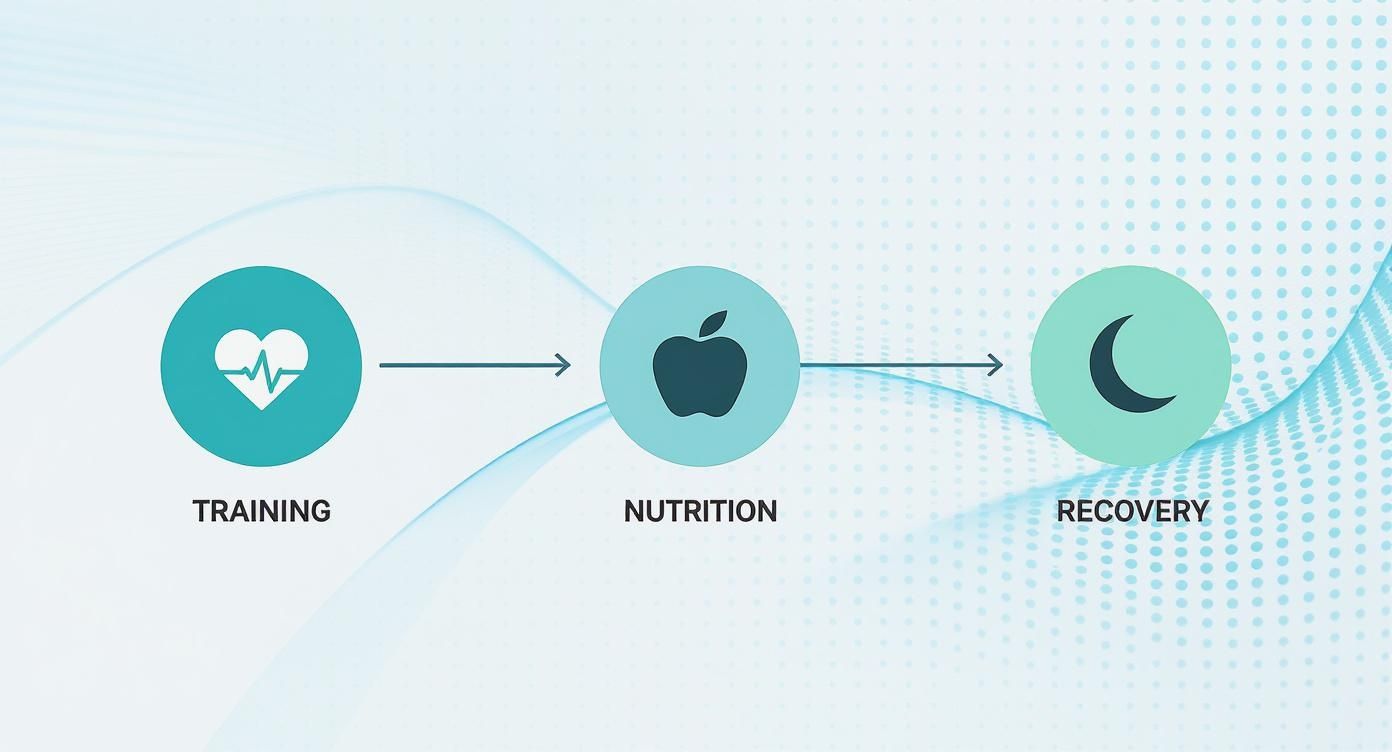 A visual flow showing training with a heart icon, nutrition with an apple, and recovery with a moon.