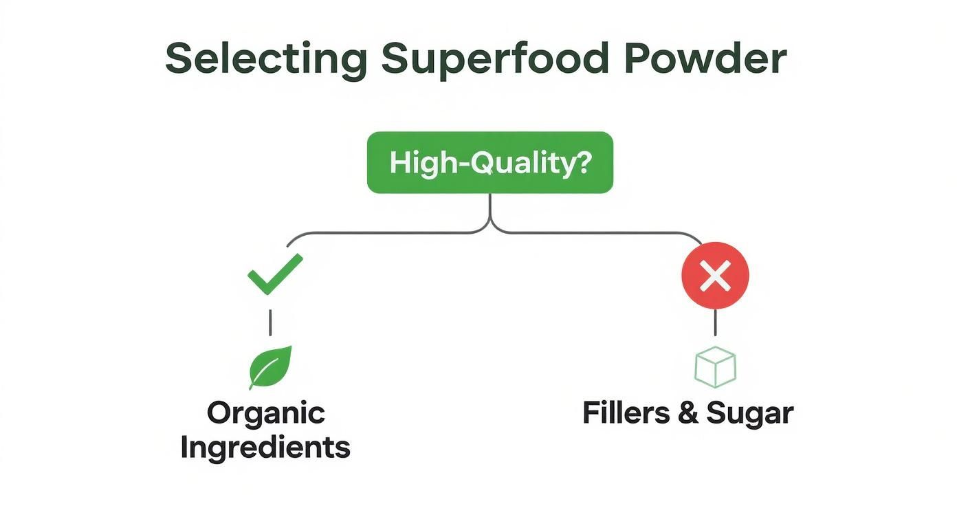 Infographic decision tree for choosing a superfood powder, showing a YES path for organic ingredients and a NO path for fillers and sugar.