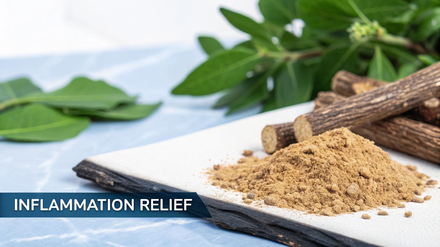 1. Soothes Inflammation & Supports Immunity