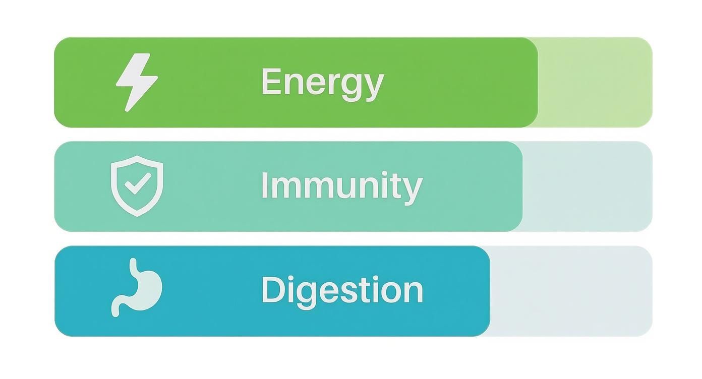 An infographic bar chart showing the contributions of greens powder ingredients to energy, immunity, and digestion.