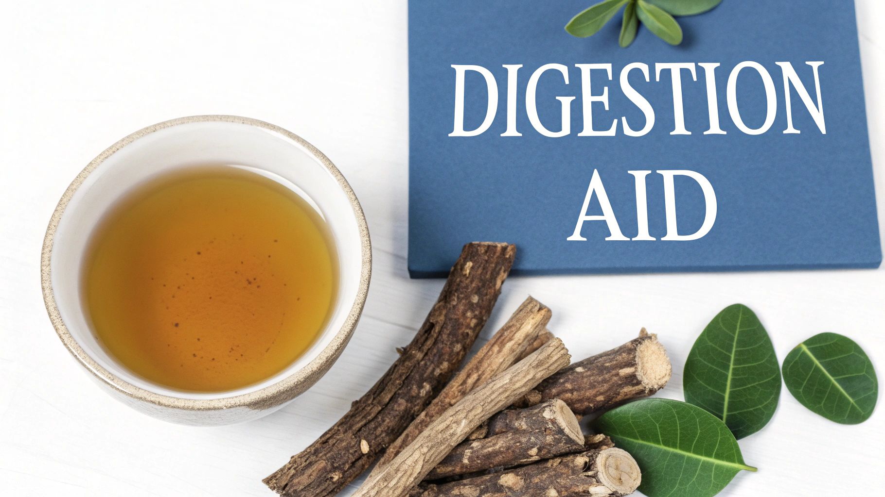 Digestive System Support