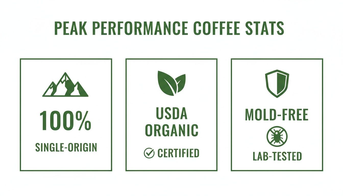 Key coffee stats: 100% single-origin, USDA organic certified, and mold-free lab-tested.