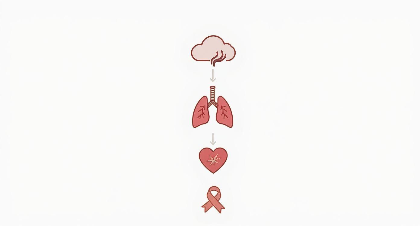 A graphic illustrating the progression of health issues from smoke exposure: cloud, lungs, heart, and cancer ribbon.