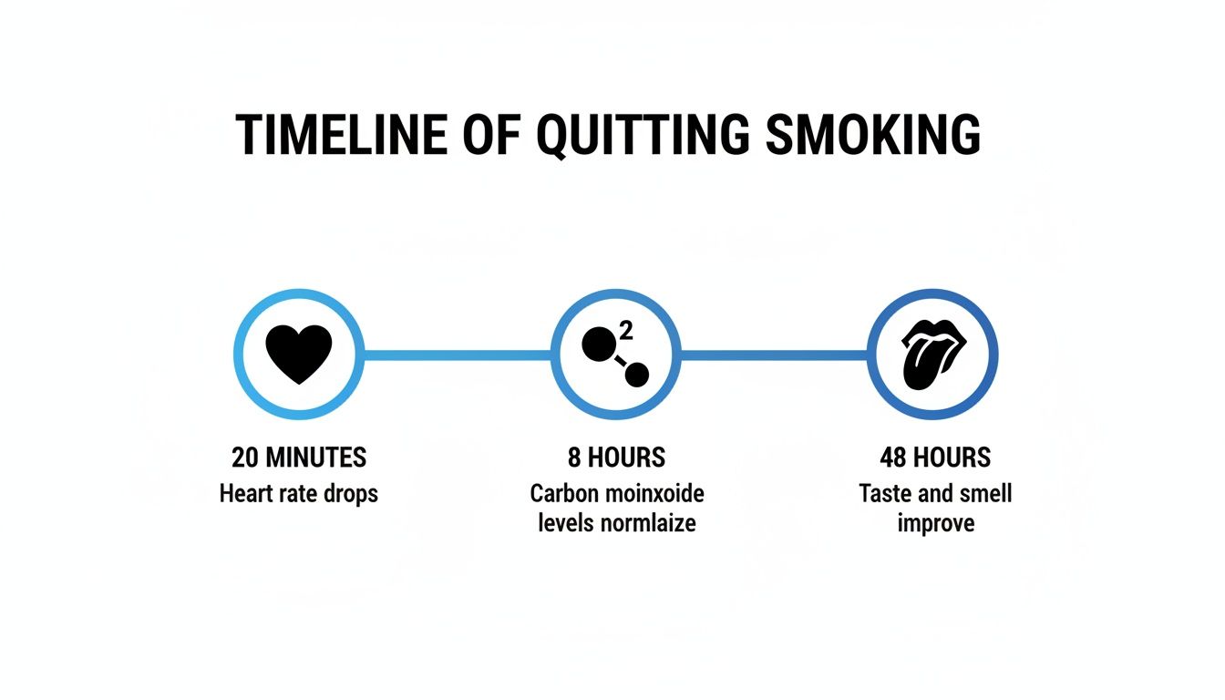 A timeline illustrates the immediate health benefits of quitting smoking over 20 minutes, 8 hours, and 48 hours.