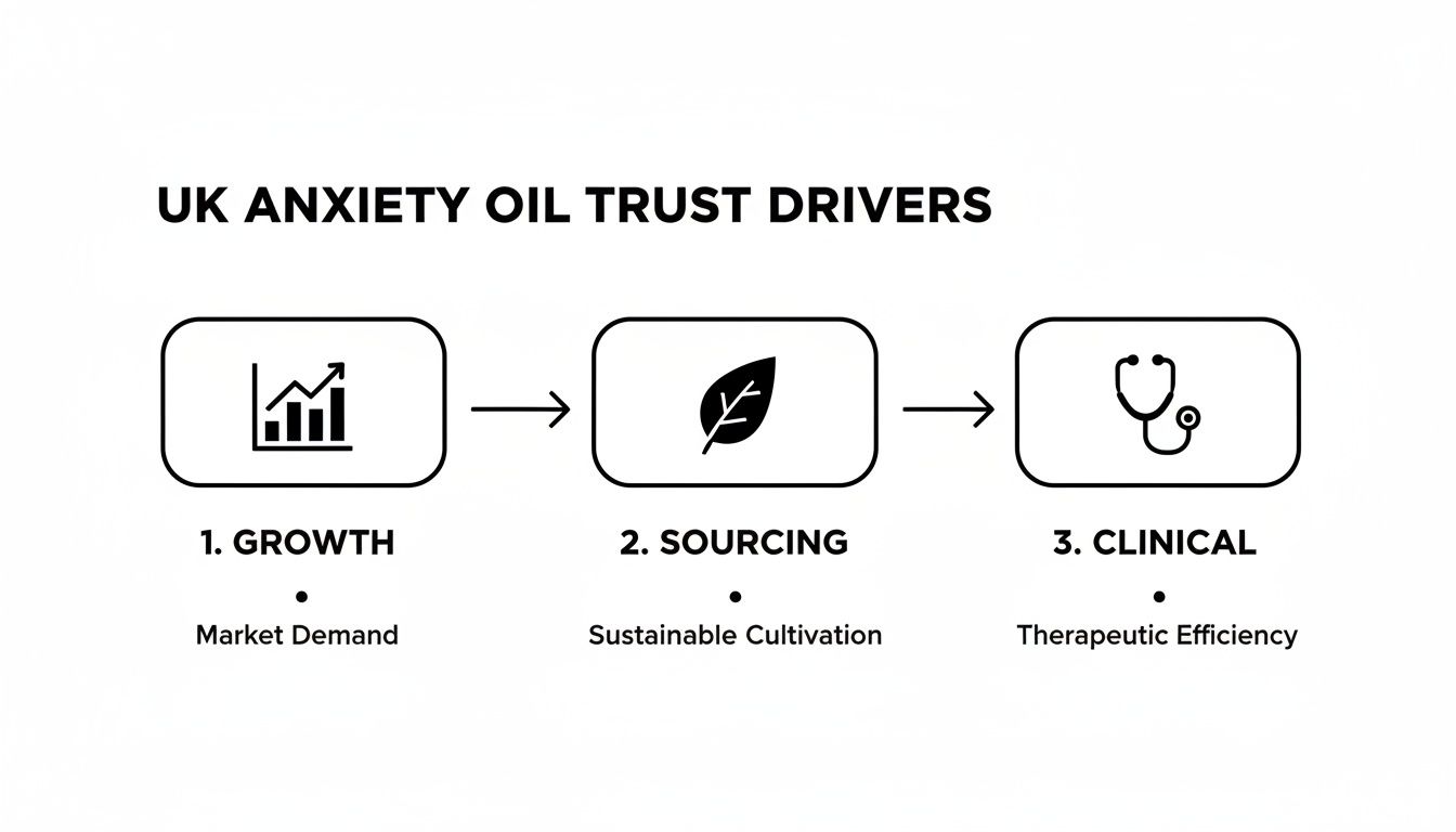 Infographic about essential oils for anxiety