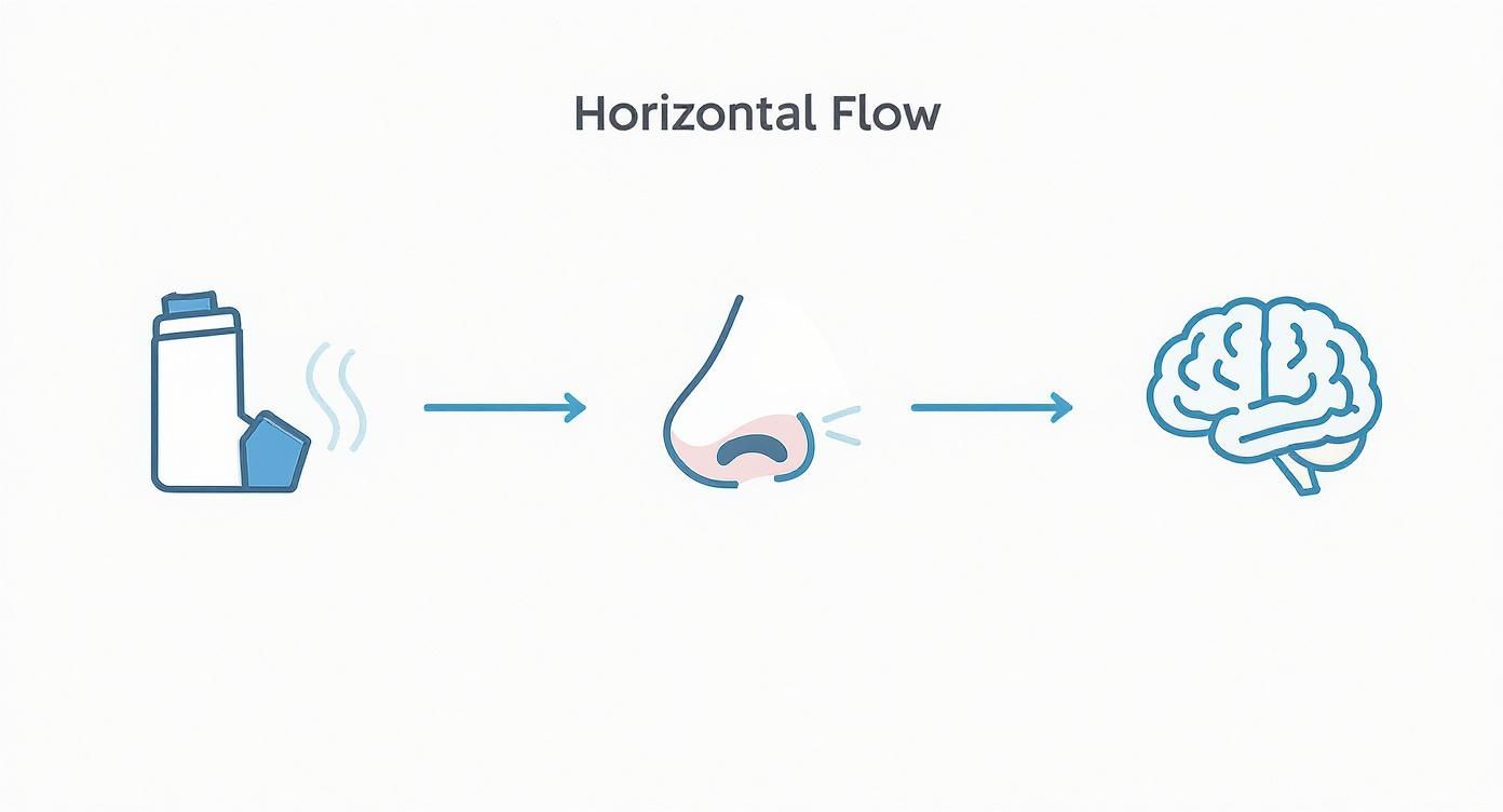 Infographic about essential oil inhaler
