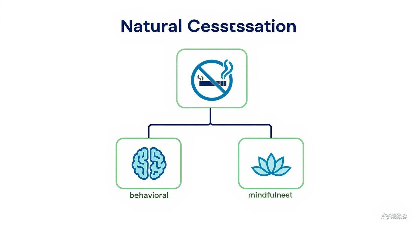 Infographic about natural smoking cessation methods