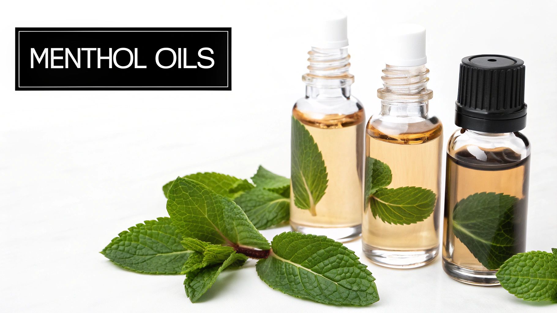 Three small bottles of menthol essential oil with fresh mint leaves on a white surface.