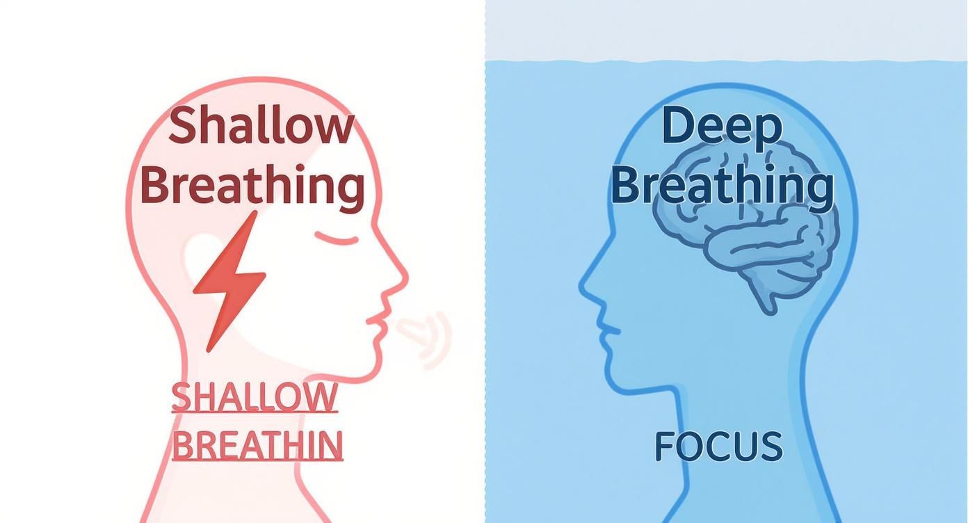 Infographic about benefits of deep breathing exercises