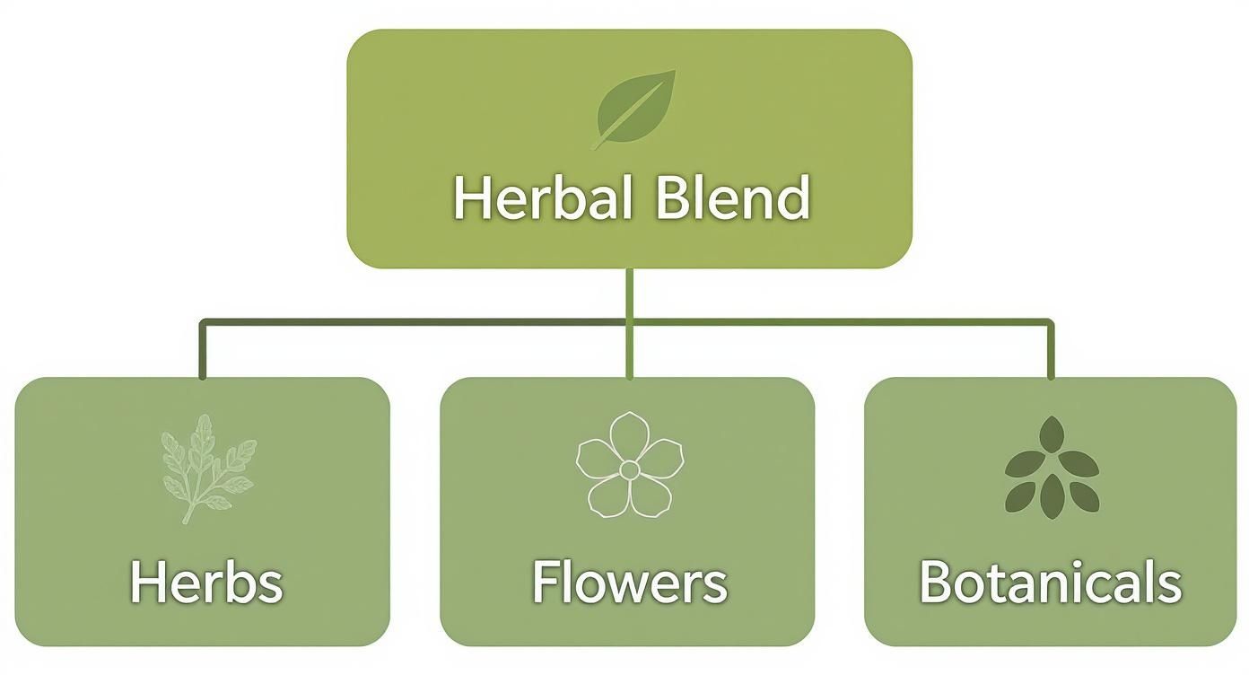 Herbal blend hierarchy diagram showing three categories: herbs, flowers, and botanicals with leaf icons