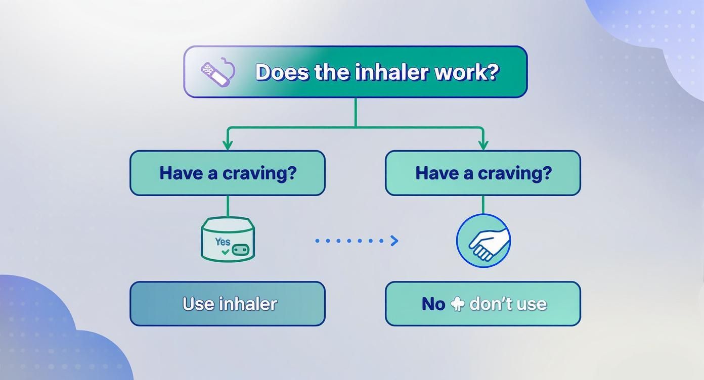 Flowchart guiding users on inhaler use based on cravings, questioning if the inhaler works.