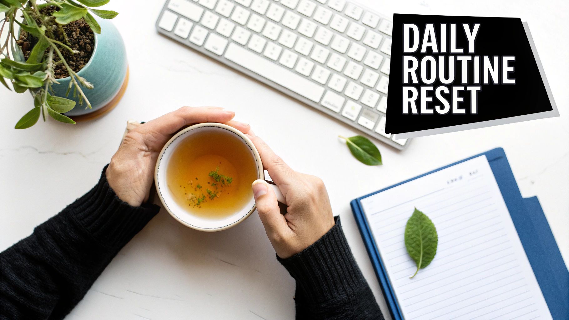 A person is deep cleaning their home, wiping down surfaces and creating a fresh, clean environment.