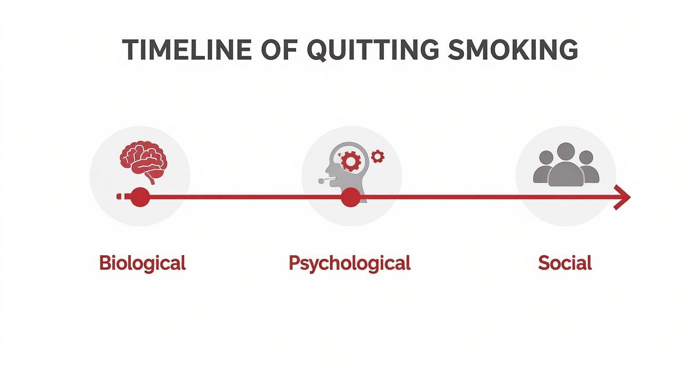 Infographic about why is quitting smoking so hard