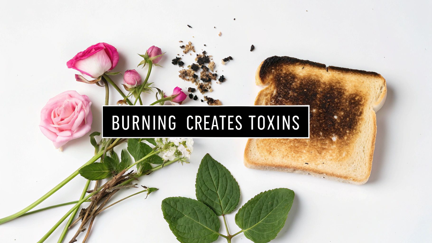 A slice of burnt toast and crumbs, alongside pink roses and green leaves, with text 'BURNING CREATES TOXINS'.