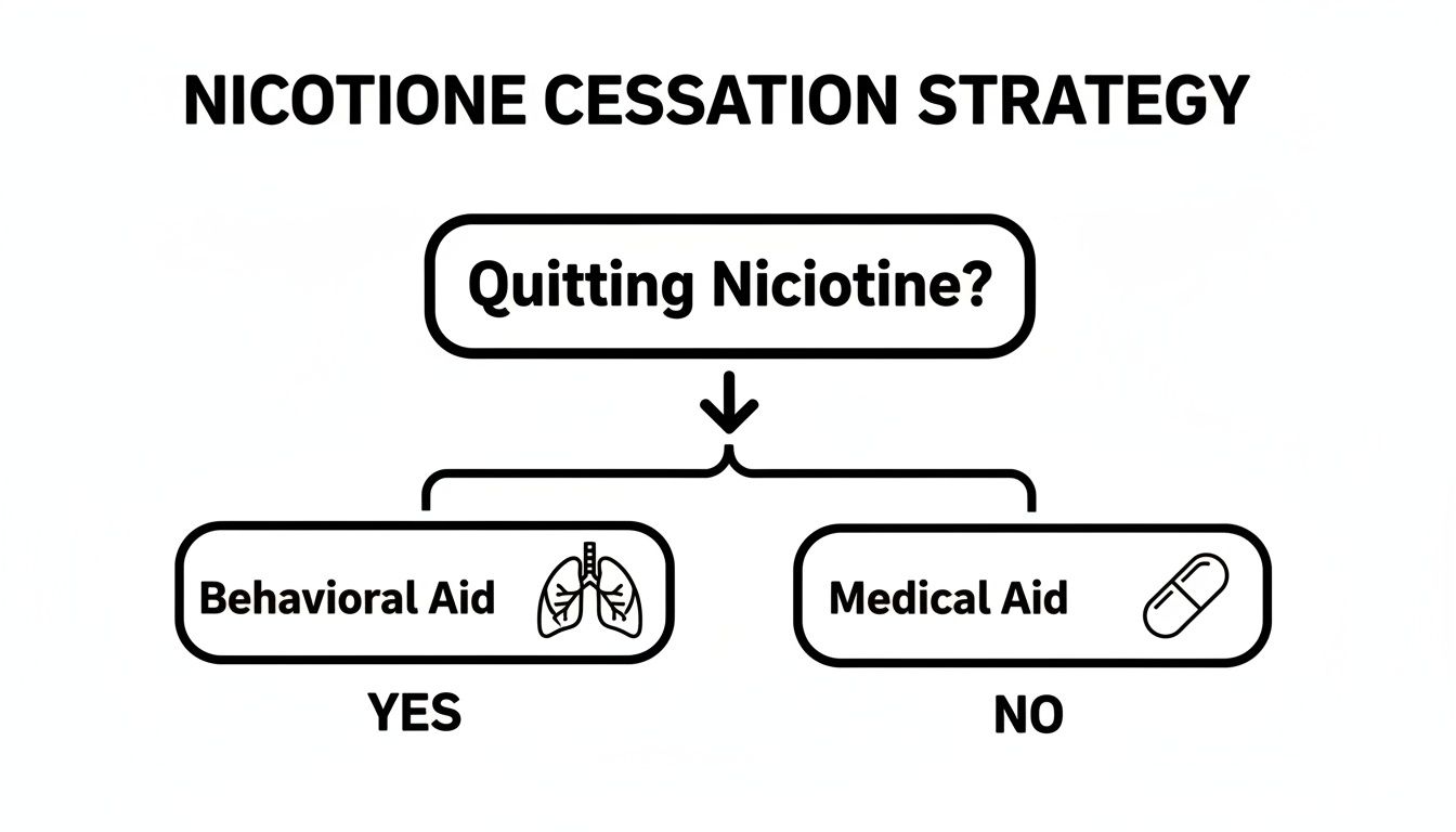 Flowchart illustrating nicotine cessation strategies, differentiating between behavioral and medical aid options.