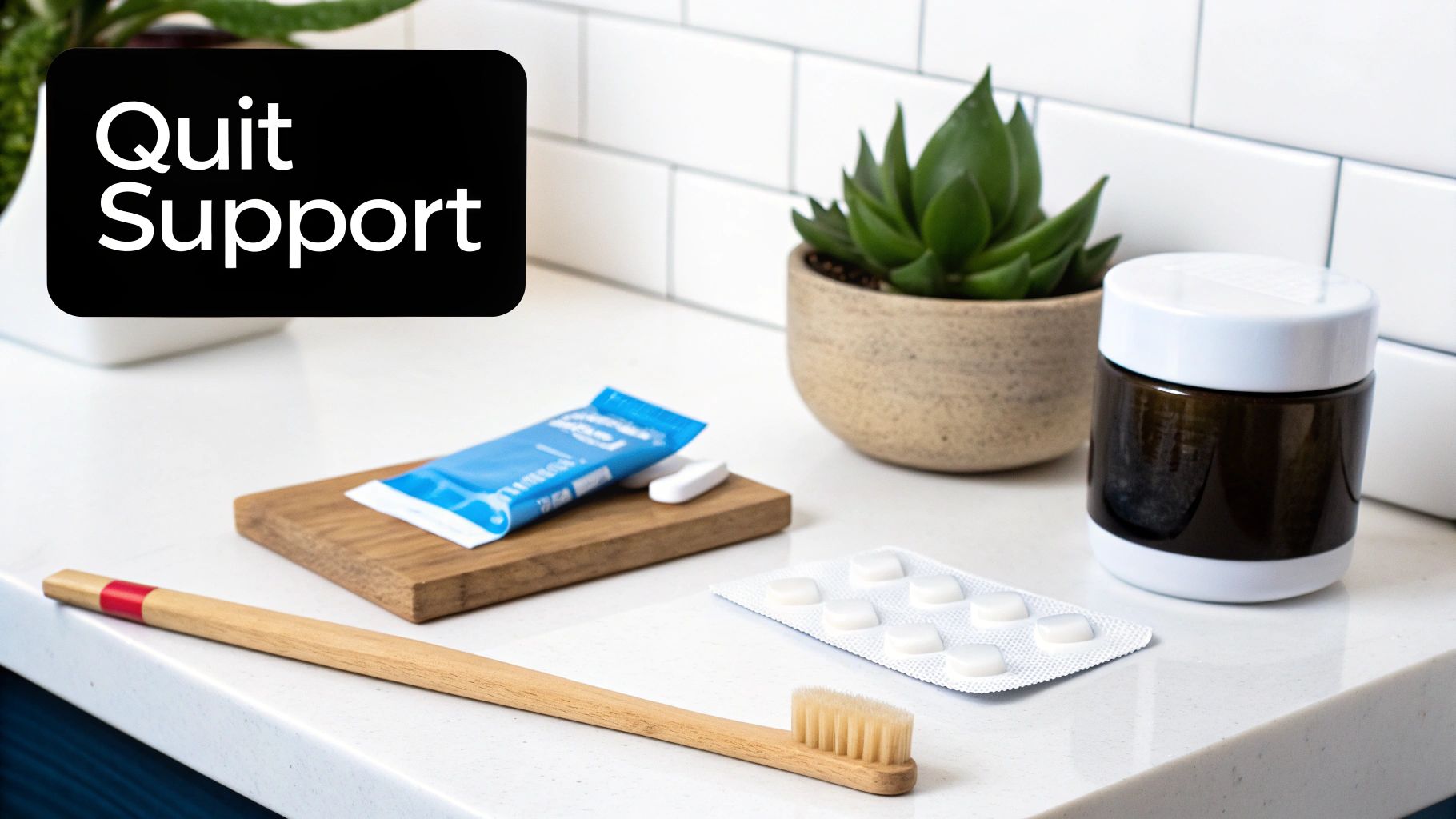 A 'Quit Support' sign above a counter with tablets, a toothbrush, and a succulent plant.
