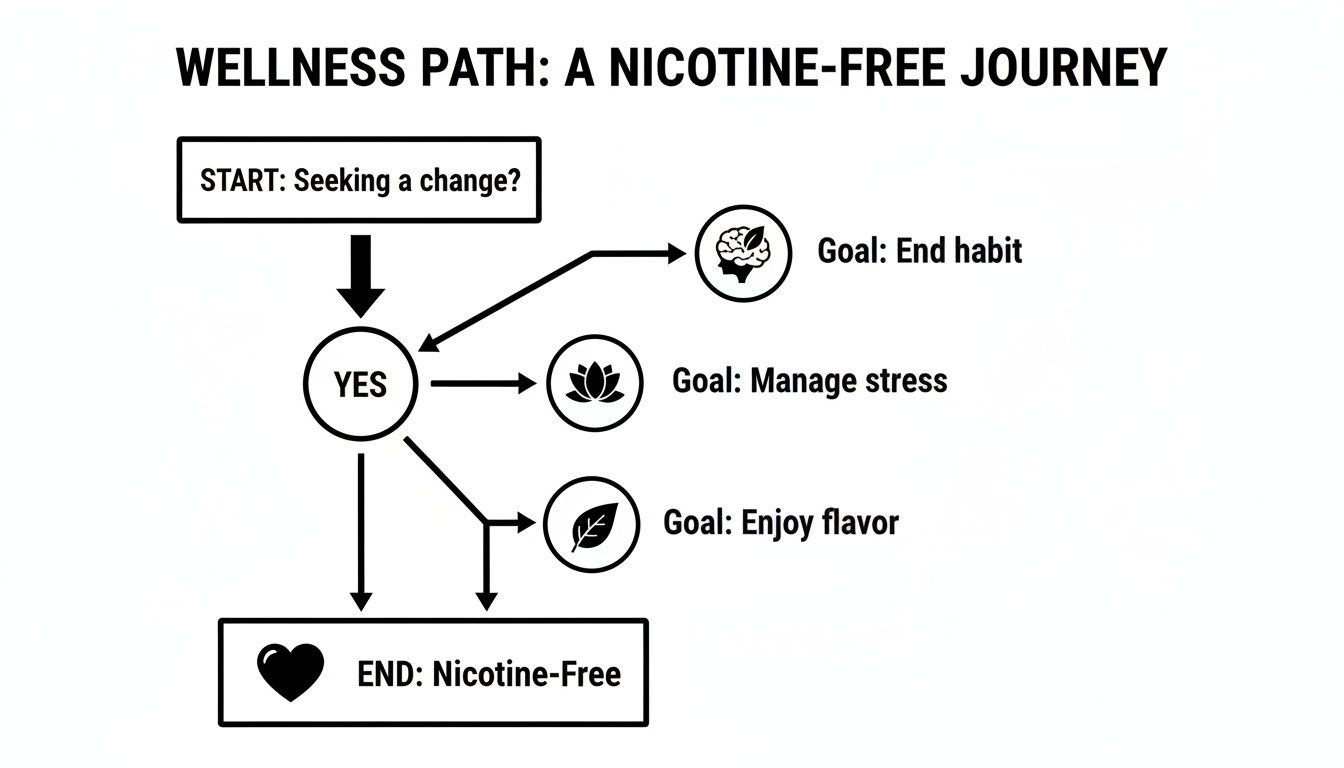 Flowchart showing a wellness path for a nicotine-free journey with goals to end habit, manage stress, and enjoy flavor.