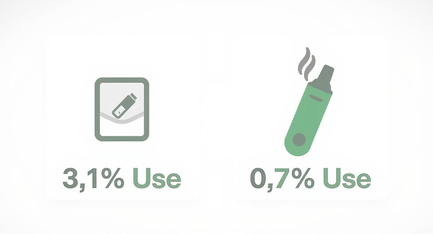 Infographic showing that nicotine pouches are used in 3.1% of quit attempts, while heated tobacco is used in just 0.7%.