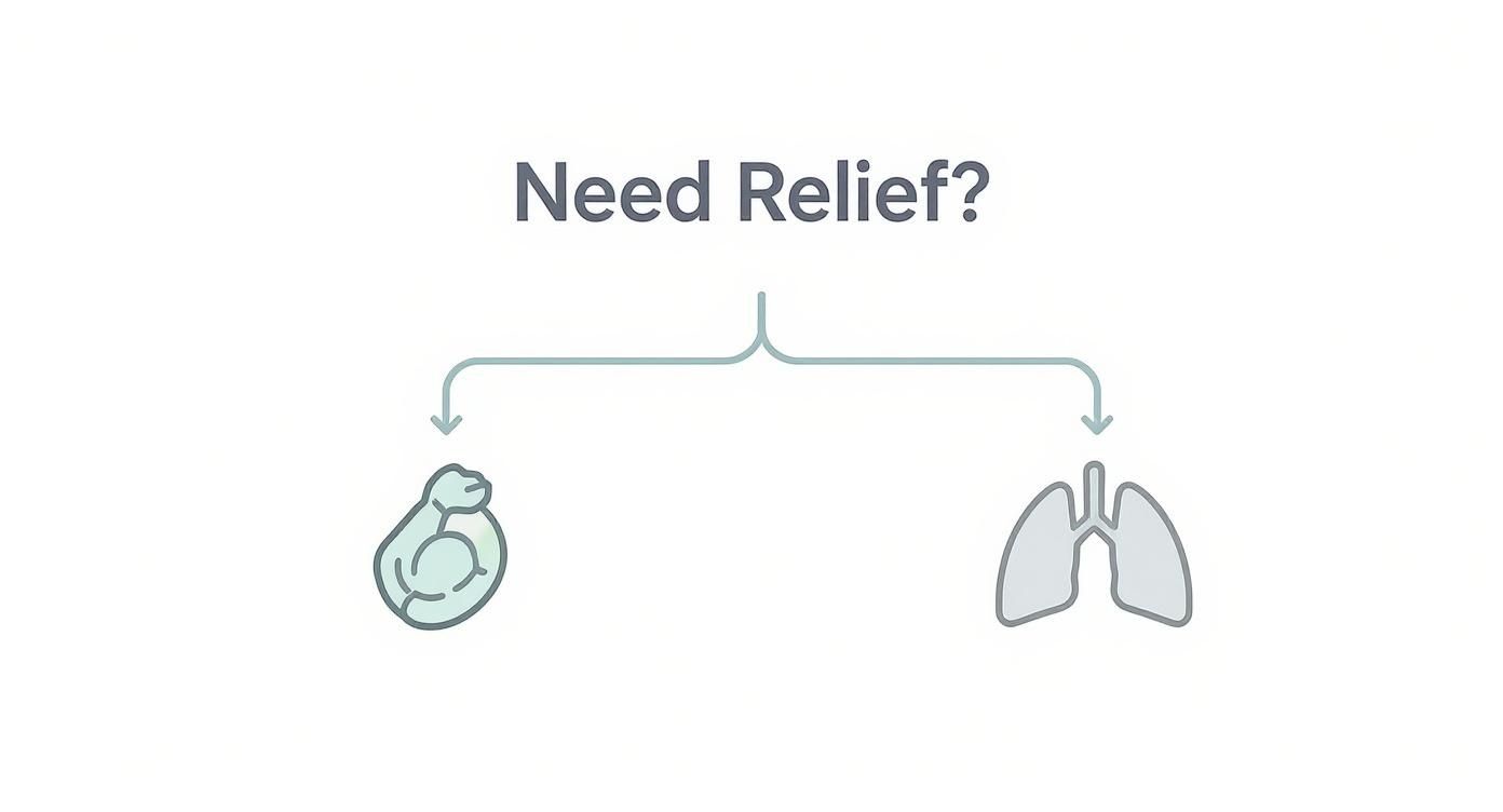 An illustration asking 'Need Relief?' pointing to digestive system and lung icons.