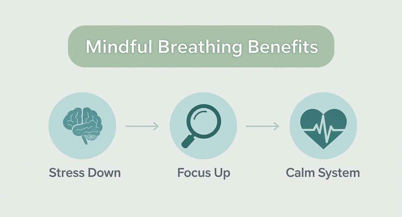 Infographic about mindful breathing techniques