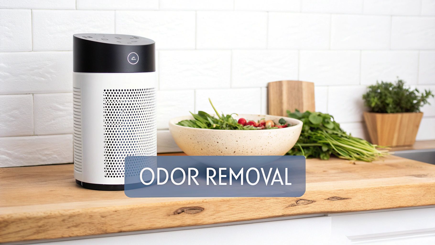 Odor Elimination