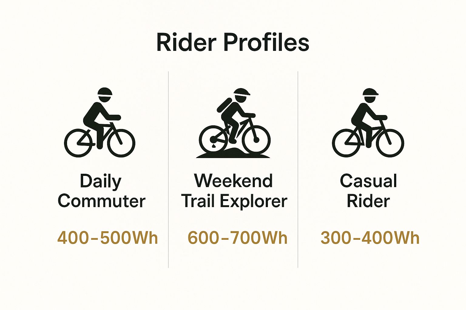 Infographic about electric bike buying guide