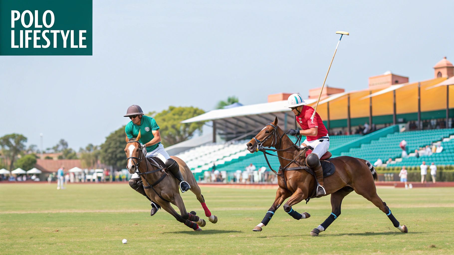 Royal Palm Polo