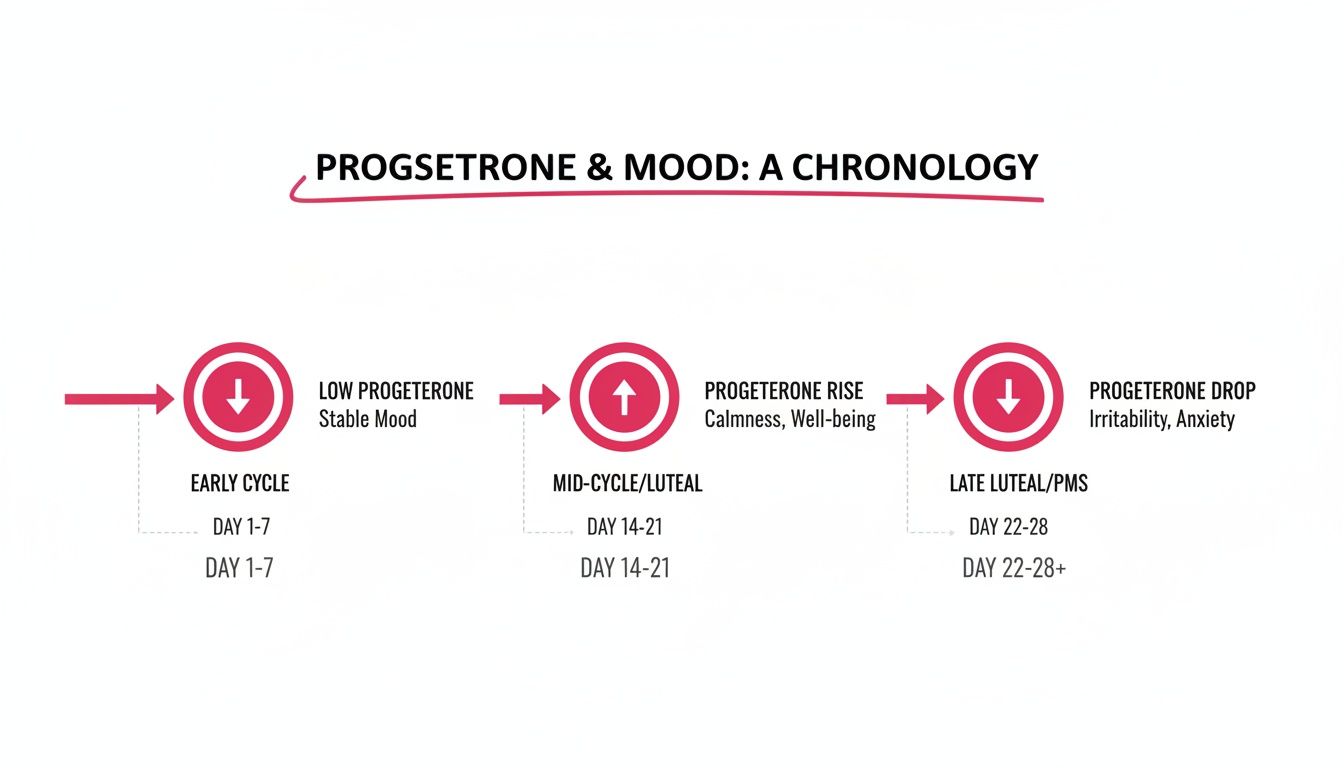 Timeline illustrating the relationship between progesterone levels and mood changes throughout the menstrual cycle.