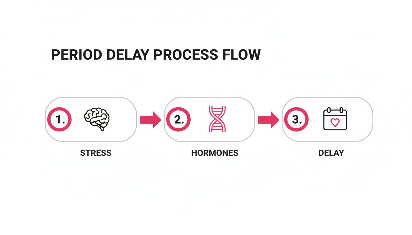 Flow chart illustrating how stress impacts hormones, leading to a delayed menstrual period.