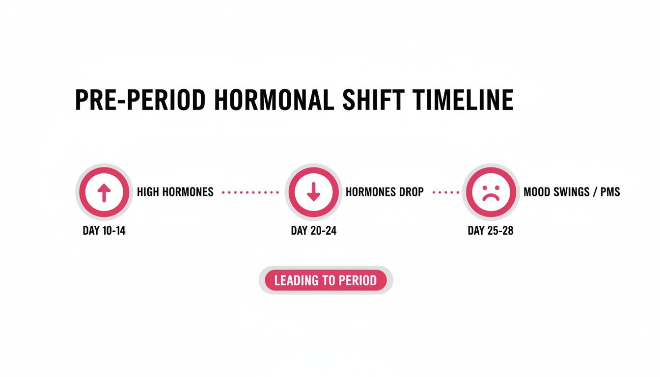 Timeline illustrating pre-period hormonal shifts: high hormones, then a drop leading to mood swings and PMS.