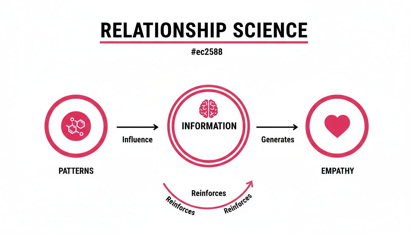 Relationship science diagram showing patterns influencing information, generating empathy, and reinforcing the cycle.